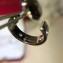 Cartier Love Earrings with 2 Diamonds White Gold