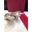 Valentino Heel 6.5cm Rockstud Slingback Pumps Sandals White