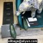 Chanel Classic Bow Ballerinas Flats Quilting Green