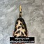 Balenciaga Hourglass XS Top Handle Bag Leopard Print