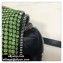 Alexander Wang Wangloc Medium Pouch Bag With Crystal Rhinestone Chain Mesh Green