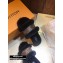 Louis Vuitton Mink Fur Lock It Flat Mules Black/Brown 2020