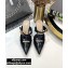 Dior Heel 8cm Boy-D Mules in Perforated Gradient Calfskin Black 2020