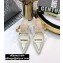 Dior Heel 8cm Boy-D Mules in Perforated Gradient Calfskin White 2020