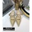 Dior Heel 4cm Boy-D Mules in Perforated Gradient Calfskin Beige 2020