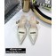 Dior Heel 4cm Boy-D Mules in Perforated Gradient Calfskin White 2020
