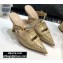 Dior Heel 8cm Boy-D Mules in Perforated Gradient Calfskin Beige 2020