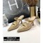 Dior Heel 8cm Boy-D Mules in Perforated Gradient Calfskin Beige 2020