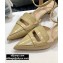 Dior Heel 4cm Boy-D Pumps in Perforated Gradient Calfskin Beige 2020