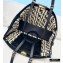 Fendi Raffia FF Medium Peekaboo X-Tote Bag Black 2020