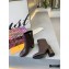 Louis Vuitton Heel 6.5cm Bliss Ankle Boots Coffee 2020