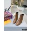 Louis Vuitton Heel 6.5cm Bliss Ankle Boots Brown 2020