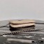 Prada Padded Nylon Mini Bag with Chain Strap 1BP044 Beige 2020