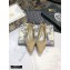 Dior J'Adior Metallic Thread Embroidered Slingback Ballet Flats Beige 2020