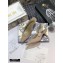 Dior Heel 6.5cm J'Adior Metallic Thread Embroidered Slingback Pumps Nude 2020