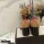 Gucci Heel 5.5cm GG Canvas Loafers with Chain 2020