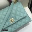 Chanel Coco Handle Small Flap Bag Light Green/Burgundy with Lizard Top Handle A92990 Top Quality 7147
