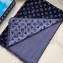 Louis Vuitton Pied-De-Poule Stole Scarf 200x70cm M76244 Blue 2020