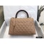 Chanel Coco Handle Medium Flap Bag Beige/Burgundy with Lizard Top Handle A92991 Top Quality 7148