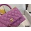 Chanel Coco Handle Small Flap Bag Mauve with Top Handle A92990 Top Quality 7147