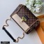 Louis Vuitton Damier Ebene Canvas Vavin PM Bag N40113 Creme