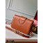 Louis Vuitton LV Pont 9 Bag Brown 2020