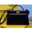 Fendi Iconic Peekaboo ISEEU East-West Bag Black 2020