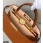 Fendi Iconic Peekaboo ISEEU Medium Bag Brown 2020