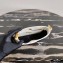 Prada Cleo Brushed Leather Shoulder Bag 1BC148 with Chain White 2020