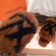 Louis Vuitton Mink Fur LV Suite Flat Mules Brown 2020