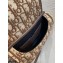 Dior Small Bobby Bag Bag in Oblique Jacquard Brown 2020