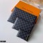 Louis Vuitton Alpha Triple Pouches Bag Damier Graphite Canvas N40296 Rainbow Logo 2020