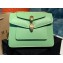 Alexander Wang x Bvlgari Duette Crossbody Bag Green