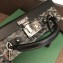 Goyard Regina Trunk Bag Black