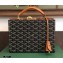 Goyard Regina Trunk Bag Brown