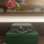 Goyard Regina Trunk Bag Gray