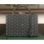 Goyard Regina Trunk Bag Gray