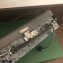 Goyard Regina Trunk Bag Gray