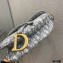 Dior Saddle Bag in Oblique Embroidery Gray 2020