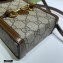Gucci Horsebit 1955 Mini Bag 625615 GG Canvas Coffee 2020