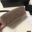 Alexander Wang Wangloc Medium Pouch Bag With Crystal Rhinestone Chain Mesh Champain Pink