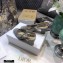 Dior Heel 7cm Moi Slingback Pumps Cannage Embroidered Mesh Gray 2020