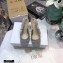 Dior Heel 7cm Moi Slingback Pumps Cannage Embroidered Mesh Gray 2020