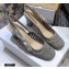 Dior Heel 7cm Moi Slingback Pumps Cannage Embroidered Mesh Gray 2020