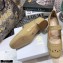 Dior Heel 3.5cm Teddy-D Ballerinas Perforated Glazed Calfskin Nude 2021