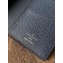 Louis Vuitton V Pattern Monochrome Taiga leather Brazza Wallet M30713 Blue