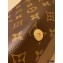 Louis Vuitton Monogram Canvas Vintage Box Shoulder Bag