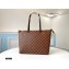 Louis Vuitton Damier Ebene Canvas Iéna MM Bag N41013