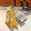 Hermes Bottle Silk Twilly 85x5CM Yellow