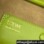 LOEWE amazona 23 cropped bag in nappa calfskin grass green  2024